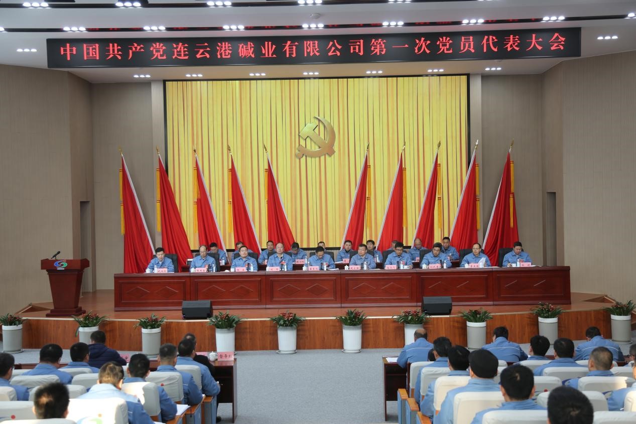 中國共產(chǎn)黨連云港堿業(yè)有限公司黨員代表大會(huì)召開